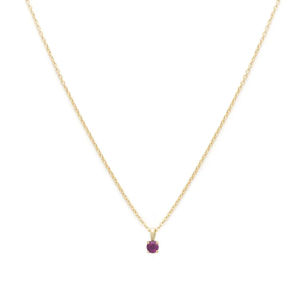 Birthstone Necklace | January