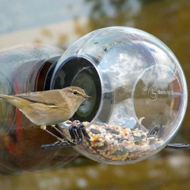 Born in Sweden Birdfeeder