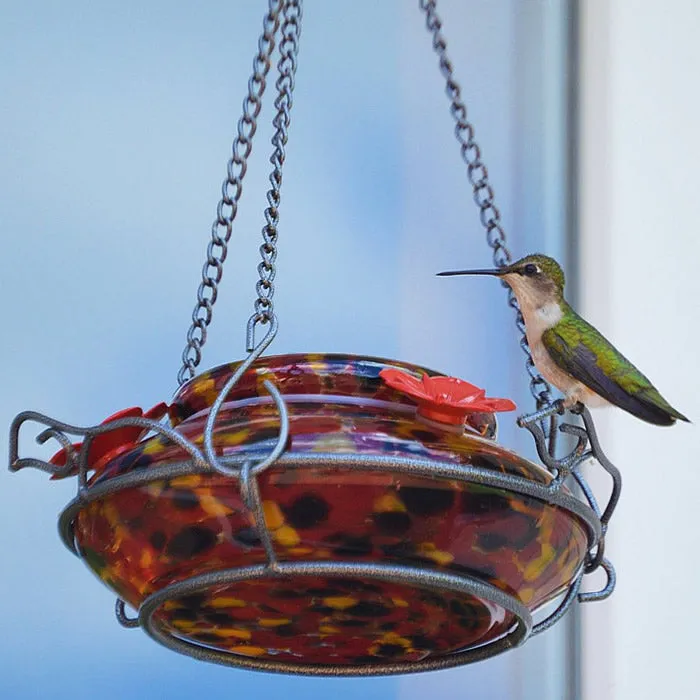 Garden Top Fill Hummingbird Feeder, Molten