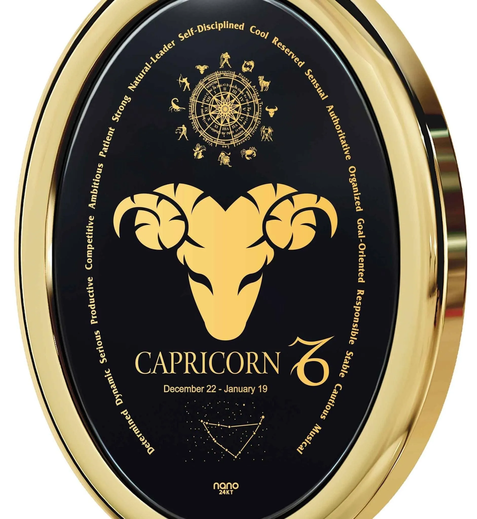 The World of Capricorn, Sterling Silver Gold Plated (Vermeil) Necklace, Onyx