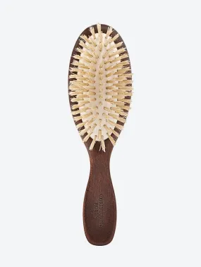 Travel hairbrush